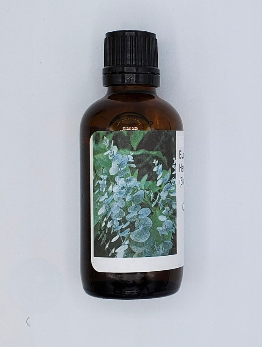 Eucalyptus Oil