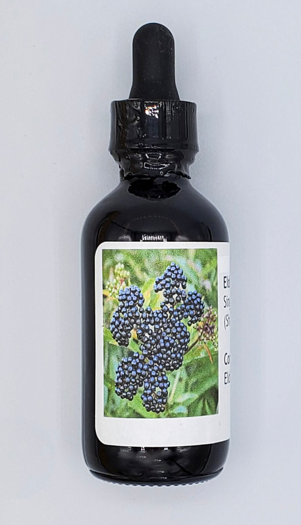 Elderberry